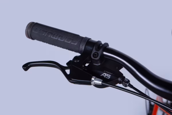 OPS-FR-24-434_7-fill-1200×800 OPS-FR-24-434_7-fill-1200×800