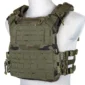 pol_pl_Kamizelka-Taktyczna-typu-Plate-Carrier-Specna-Arms-Tactical-QR-IV-Wz-93-Pantera-Lesna-1152242843_1