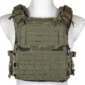 pol_pl_Kamizelka-Taktyczna-typu-Plate-Carrier-Specna-Arms-Tactical-QR-IV-Wz-93-Pantera-Lesna-1152242843_2