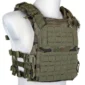 pol_pl_Kamizelka-Taktyczna-typu-Plate-Carrier-Specna-Arms-Tactical-QR-IV-Wz-93-Pantera-Lesna-1152242843_3