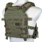 pol_pl_Kamizelka-Taktyczna-typu-Plate-Carrier-Specna-Arms-Tactical-QR-IV-Wz-93-Pantera-Lesna-1152242843_4