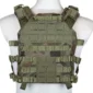 pol_pl_Kamizelka-Taktyczna-typu-Plate-Carrier-Specna-Arms-Tactical-QR-IV-Wz-93-Pantera-Lesna-1152242843_5